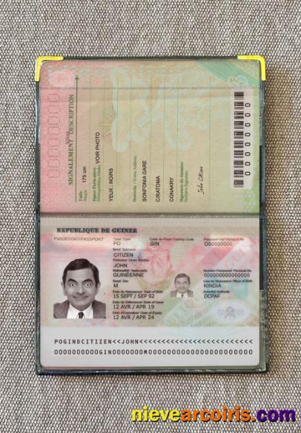 Guinea passport (2018-present) photolook